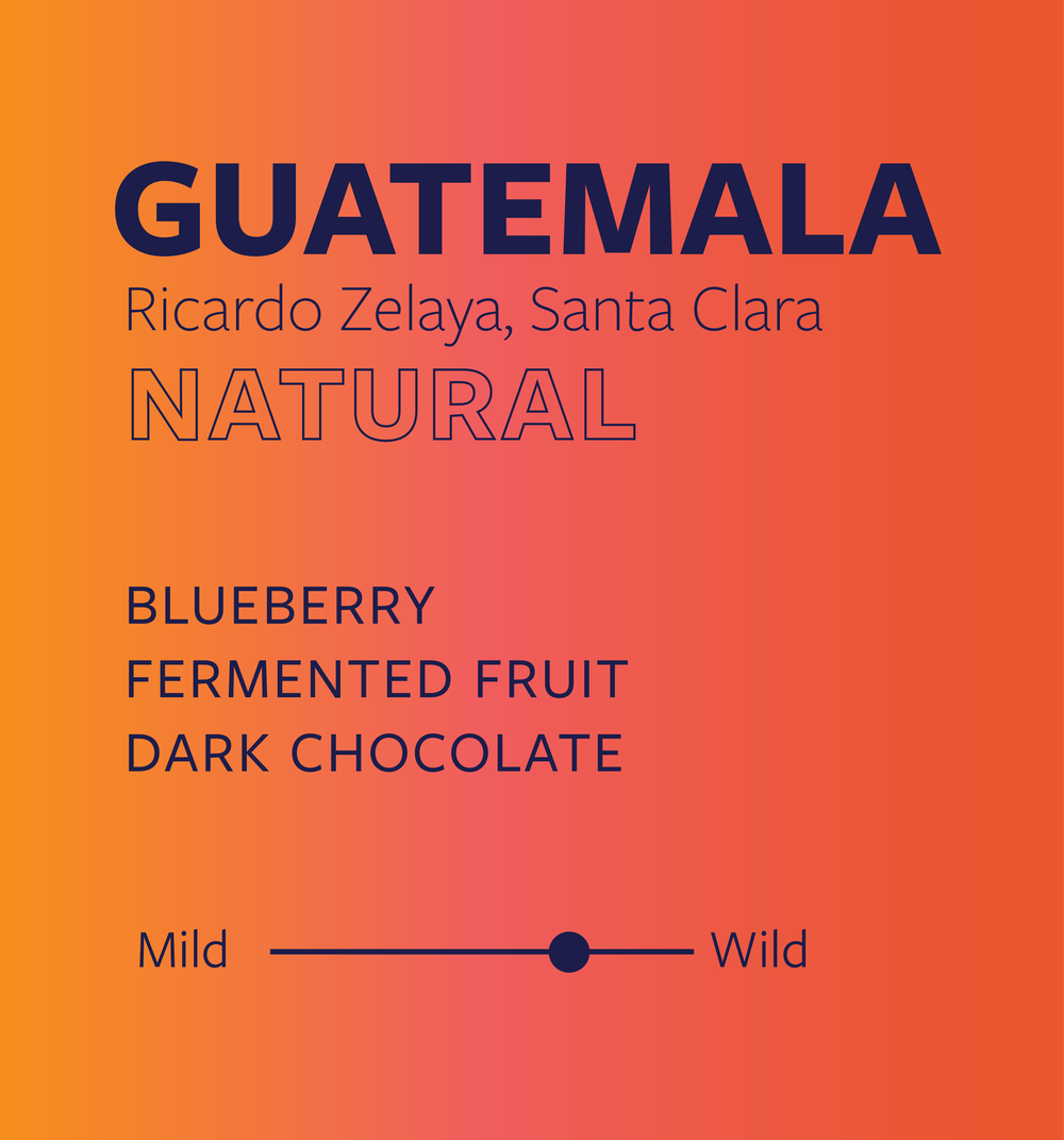 GUATEMALA NATURAL — Mountaineer Roasting Company